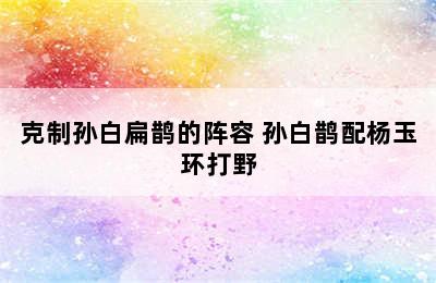 克制孙白扁鹊的阵容 孙白鹊配杨玉环打野